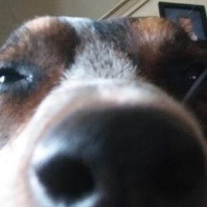 Meet your Posher, Adrienne